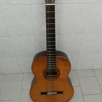 Chitarra classica Suzuki 