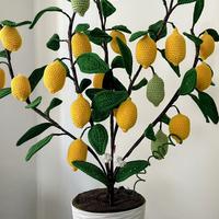 Pianta di limoni artigianale all’uncinetto