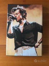 Quadro di Harry Styles