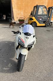 Honda Cbr 600