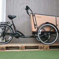cargo Bike Sun - 4 posti 