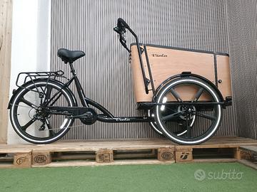 cargo Bike Sun - 4 posti 