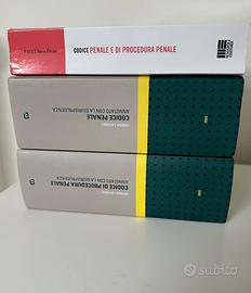 Codici Commentati Diritto Penale 2024