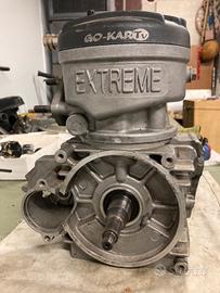 Motore kart extreme monomarcia trattabile