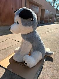 Husky grey and white (peluche cane)