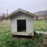 Cuccia coibentata taglia xxl