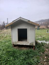 Cuccia coibentata taglia xxl