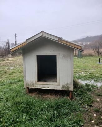 Cuccia coibentata taglia xxl