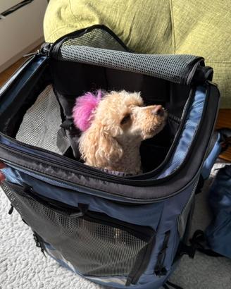 Zaino Wanderpfote per cani e gatti