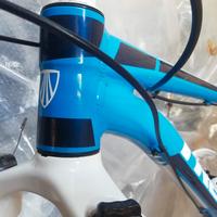 MTB  29 TREK