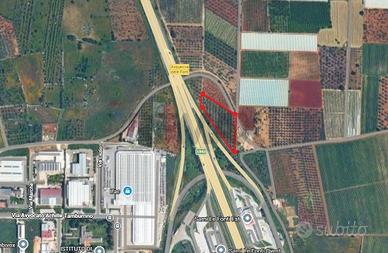 Terreno - Acquaviva delle Fonti