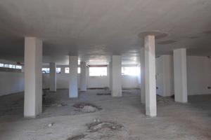 Tsa 260/2022 lotto 1 locale
