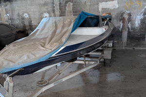 Motoscafo + motore e carello