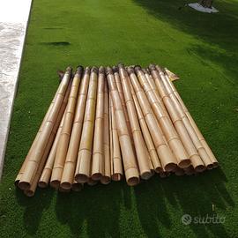 Canne da bambù