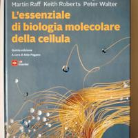 L'Essenziale di biologia molecolare. Alberts
