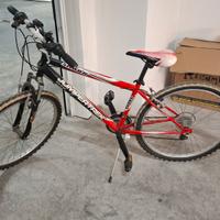 bicicletta Mountain bike