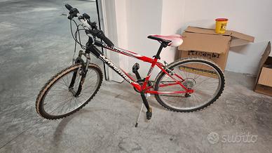 bicicletta Mountain bike
