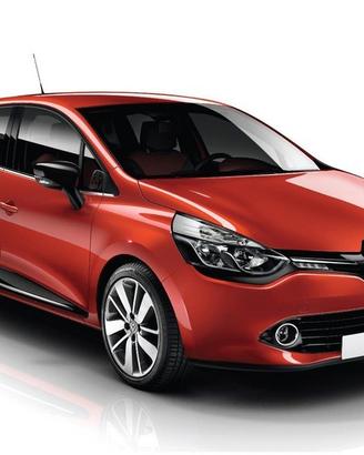 Ricambi renault clio 2013-14