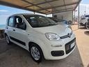 fiat-panda-1-0-firefly-s-s-hybrid-easy