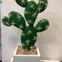 Pianta Fico D’India o Cactus in plastica