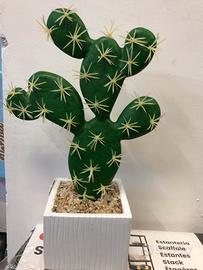 Pianta Fico D’India o Cactus in plastica