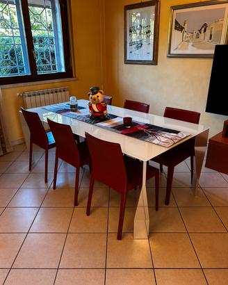 Set Tavolo MOLTENI + 6 Sedie CATTELAN