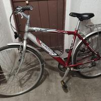 Bicicletta Maino Ocean