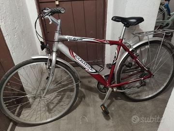 Bicicletta Maino Ocean