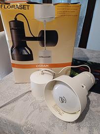 lampada floraset per acquario e piente