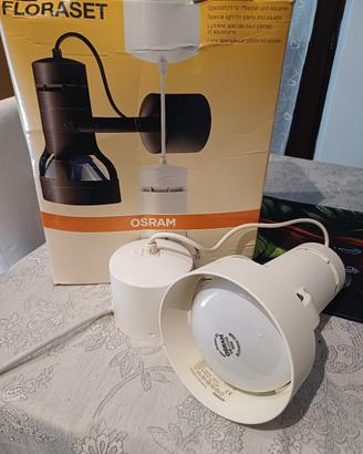 lampada floraset per acquario e piente