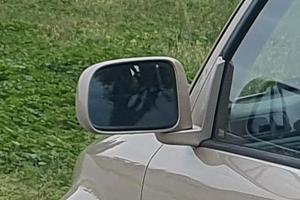 CRV  SPECCHIO RETROVISORE  SX  HONDA