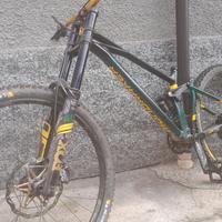 bici dh