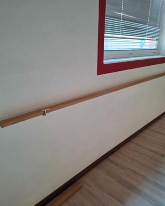 SBARRE DANZA