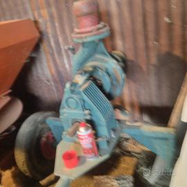 Pompa per irrigare caprari