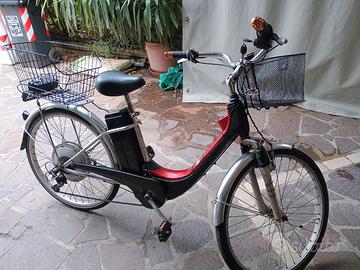 bici elettrica 