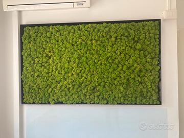 Quadro in muschio vero