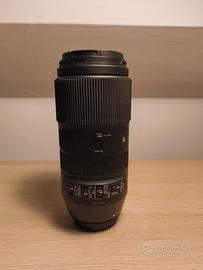 Sigma 100-400 Canon