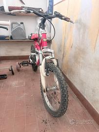 Biciclette e colibrino