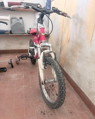 Biciclette e colibrino