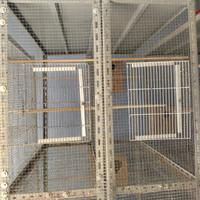 VOLIERA PER UCCELLI 🐦