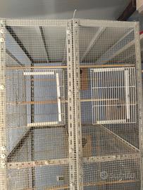 VOLIERA PER UCCELLI 🐦