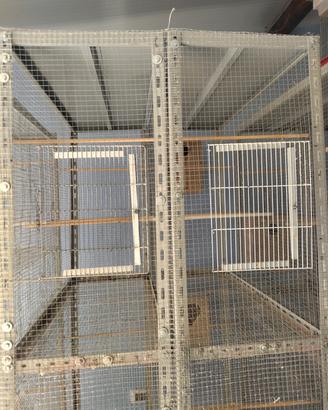 VOLIERA PER UCCELLI 🐦