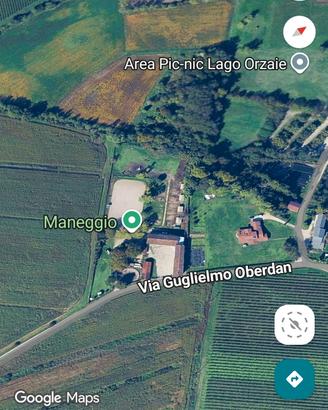  pensione  cavalli paddock e box Fontanafredda 