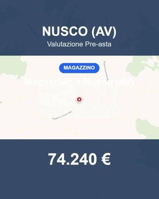 Immobile in asta di 500 m² a Nusco