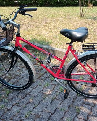 bici da donna con cestino