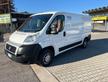 FIAT DUCATO FRIGO FNAX