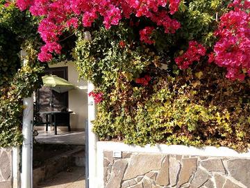 Villetta con giardino un anno o più