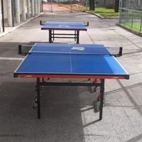 Tavolo da ping pong 