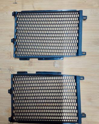 Griglie Protezione Radiatore Originali BMW R1200GS