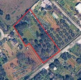 Lotti agricoli ad uso orto